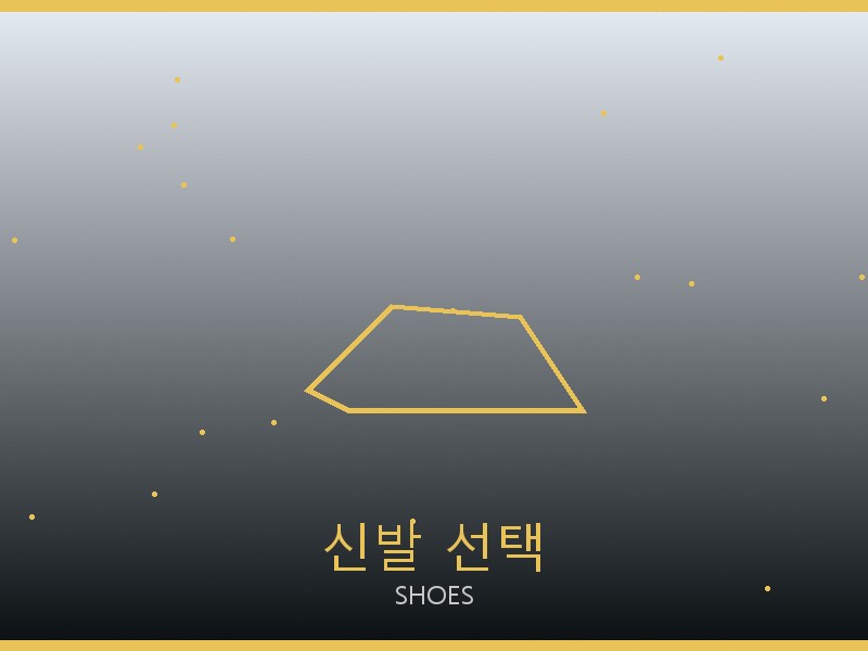 쇼파드 레플리카 사이트 신발 선택 가이드